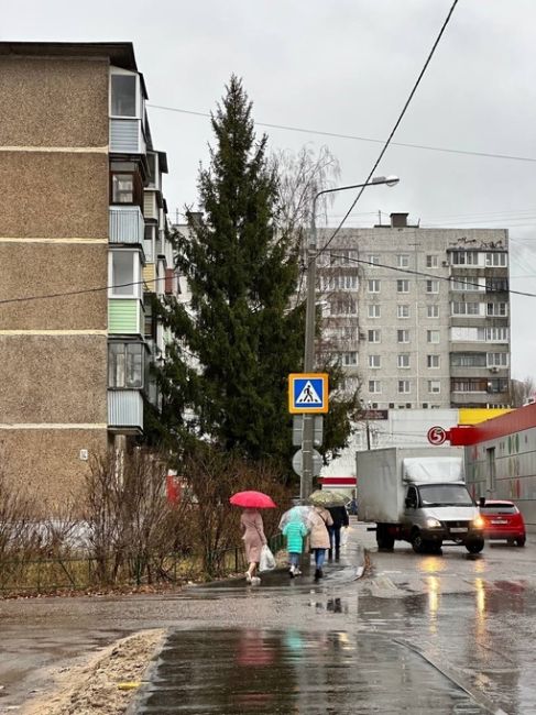 ❗️Среднесуточная температура  в пятницу перейдет к минусовым значениям, наступит метеорологическая..