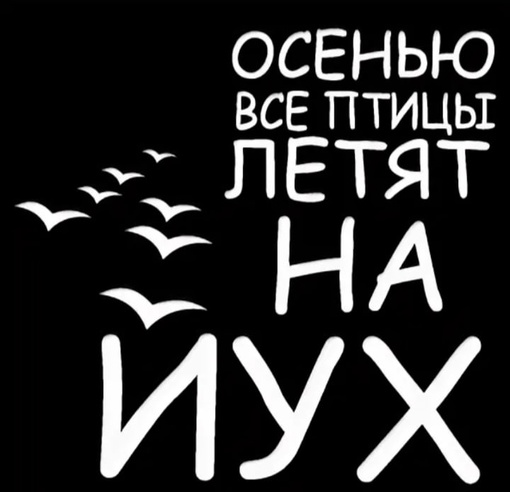 Денис Майданов удивился реакции одинцовских мамочек на подарок для мальчиков-учеников 🪖  Депутат..