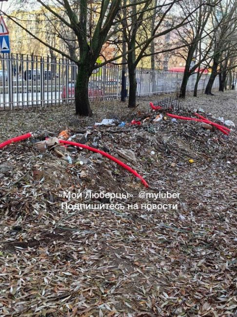 Брошенное благоустройство Наташинского..