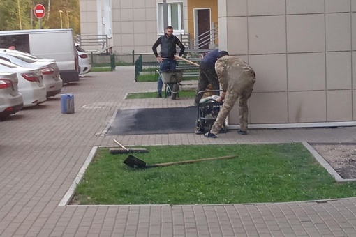 Вот такой "подарок" от администрации жителям по ул. Стрелковая д.8. 
Вместо зеленого газона асфальт и..