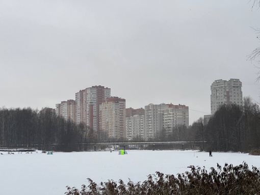 Снежное утро в парке на Заречной ❄️  Хорошего дня, соседи!  К слову, дорожки почистили отлично. Во дворах бы..