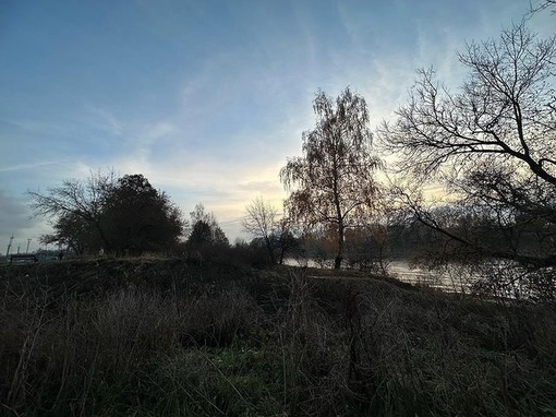 Осень 2023 в Долгопрудном 🍂..