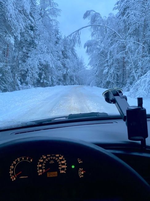 ДОБРОЕ УТРО, БАЛАШИХА ❄️
📸 Саня
Как там ваша жизнь в пробках..