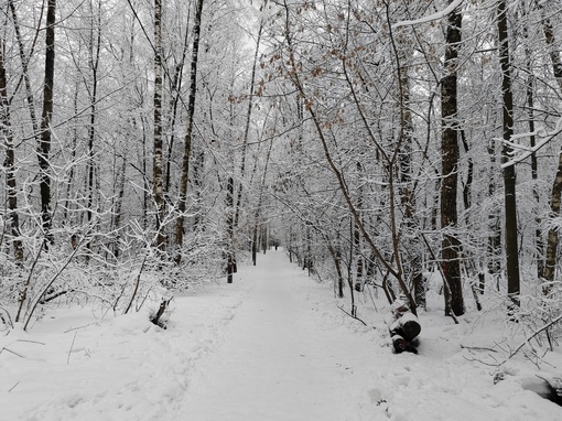 ДОБРОЕ УТРО, БАЛАШИХА ❄️
📸 Саня
Как там ваша жизнь в пробках..