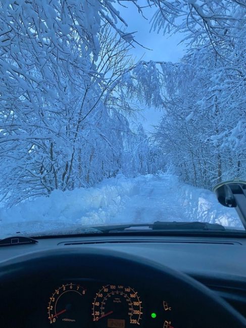 ДОБРОЕ УТРО, БАЛАШИХА ❄️
📸 Саня
Как там ваша жизнь в пробках..