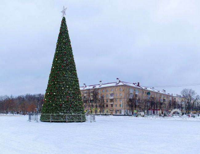 🎄 На центральной площади города установили пушистую красавицу — главный символ Нового года — 21-метровую..