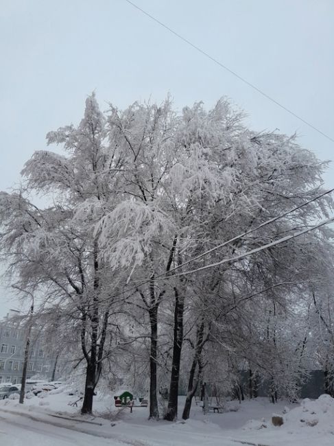 Снежное утро в городе..