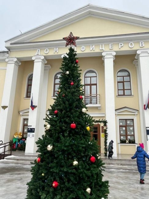 ЁЛКА В МКРН СЕВЕРНЫЙ 🎄
📸..