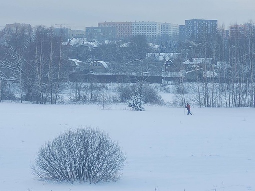 Заповедник Лохин остров.  Фото: Андрей..