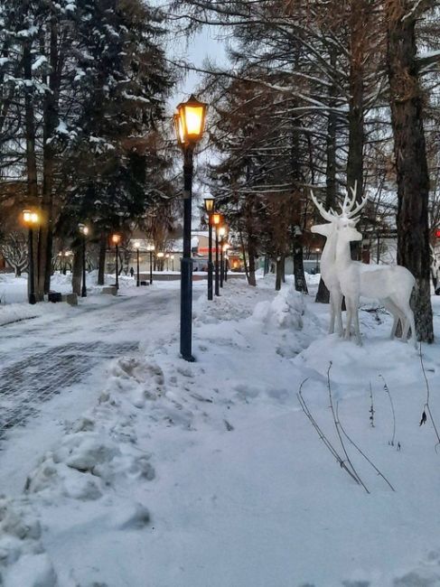 Зима в Балашихе..