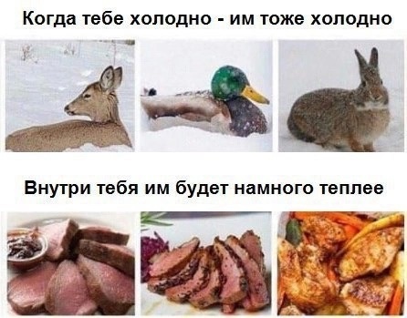 добрый день,жители нашего города!
хочу поднять немаловажную тему.сезон сменился,птицам сложно находить..