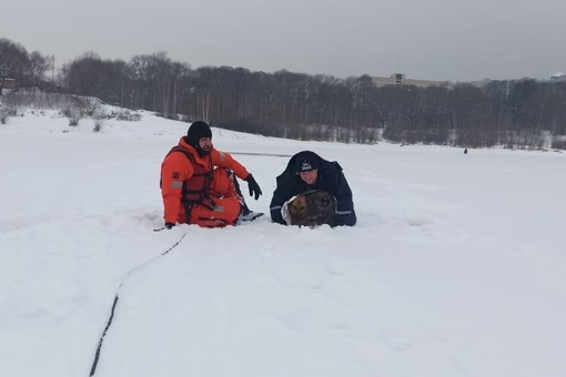 2 декабря спасатели Раменской службы спасли двух собак из полыньи на Борисоглебском..