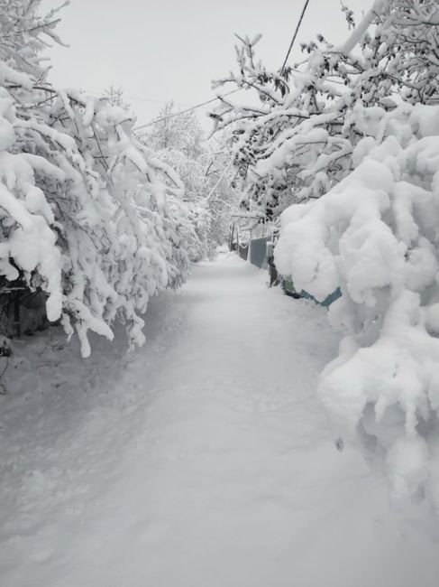 ДОБРОЕ УТРО, БАЛАШИХА ❄️
📸 Саня
Как там ваша жизнь в пробках..