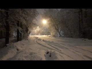 Карболит. 5:30 На проезжую часть, упали два дерева, движение транспорта затруднено. Автобусы и маршрутки ждут..