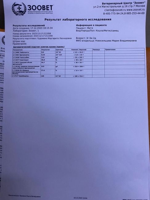 В Хотьково был изнасилован кот  Кто узнает котика, найденного в Хотьково, мкр Митино около детского сада..