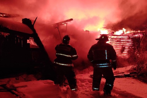 ПЯТЬ КОШЕК И СОБАКА СПАСЕНЫ ИЗ ПОЖАРА👨‍🚒
Благодаря спасателям из Балашихи животные были спасены...