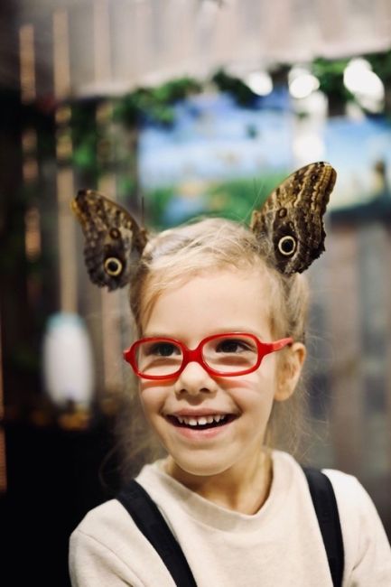 🦋🦋🦋ЖИВЫЕ БАБОЧКИ🦋🦋🦋 прилетели в Подольск  Доброго дня, всем , кто читает этот текст , мы организаторы..