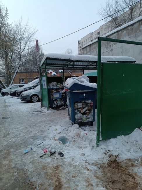 Здравствуйте. Почему периодически, но стабильно перестают вывозить мусор на переработку? Ситуация далеко не..