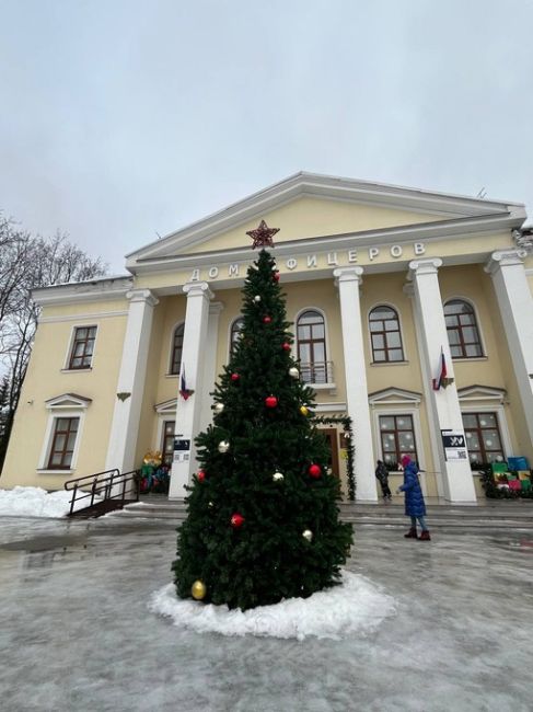 ЁЛКА В МКРН СЕВЕРНЫЙ 🎄
📸..