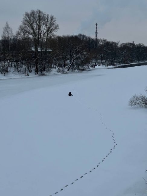 С каждым днем все холоднее. В пятницу ночью обещают до..