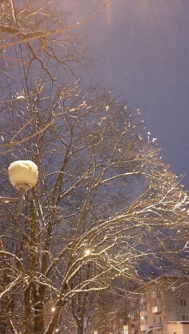 Вечерний фоточат: присылайте в комментарии последние фотографии которые вы сделали на свой телефон(или..