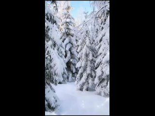 С добрым утром воскресенья..