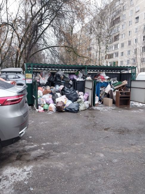 Администрация нашего города решила засыпать мусором город? На фото мусорные контейнеры по адресу: проспект..