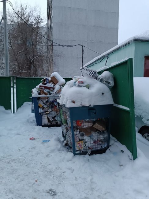 Здравствуйте. Почему периодически, но стабильно перестают вывозить мусор на переработку? Ситуация далеко не..