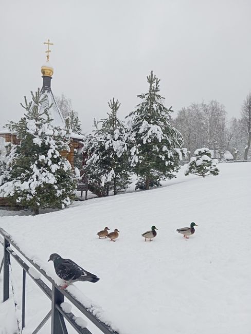 Вечерний фоточат: присылайте в комментарии последние фотографии которые вы сделали на свой телефон(или..