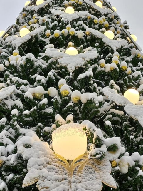 Доброе утро, Ногинск! ✨  Погода на сегодня: 
🌨Снег, возможен слабый дождь
🌡Температура +1° (ощущается как -2°)..