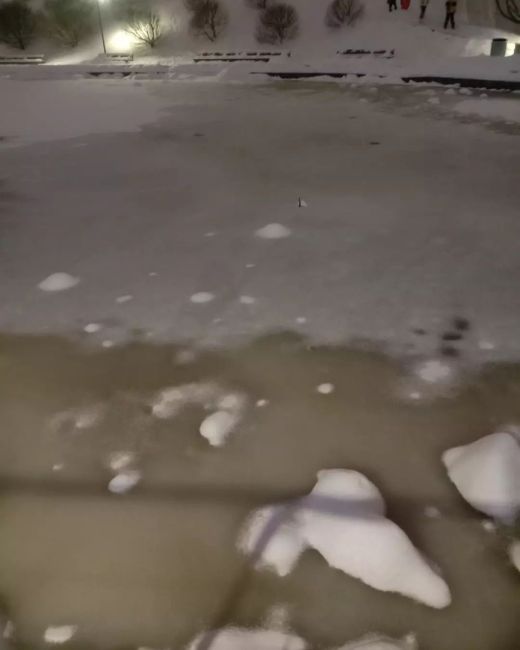 Что случилось с Тимоховским прудом возле кинотеатра "Искра"??😞 
От воды идёт ужасная вонь - как будто смесь..
