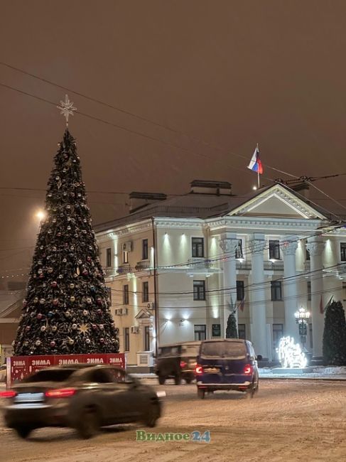 Видновские Новогодние елки..