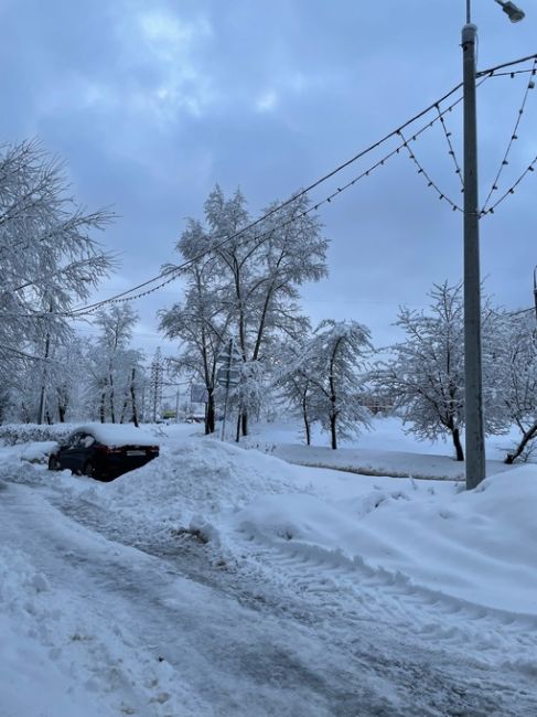 Невероятная красота в городе..