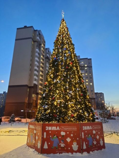 Новогодняя ёлочка..