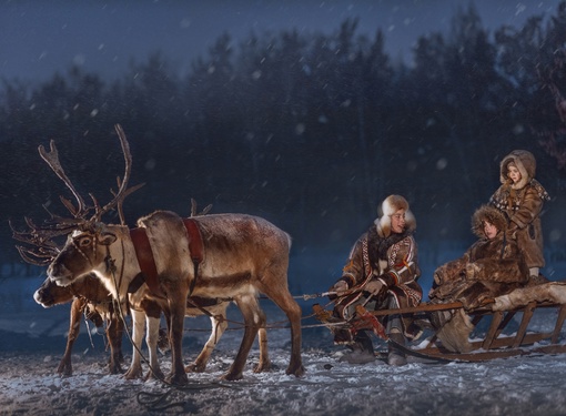 НОВОГОДНИЕ СКИДКИ на ОЛЕНЬЕЙ ФЕРМЕ в подмосковном Дзержинском! 
Новогодние праздники для нас – это елка,..