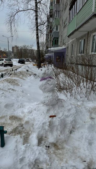 Ох уж наши белоснежные красавцы ⛄️  А вы..