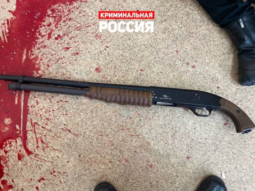 🚫 Восьмиклассница из Брянска открыла стрельбу по одноклассникам во время урока  Девочка принесла в школу..