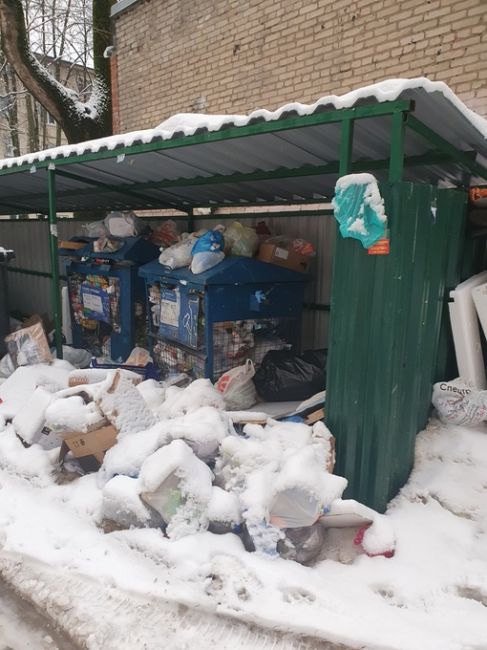 Территория около школы 6 на Октябрьской буквально в двух метрах такое безобразие! Школа, детская площадка,..