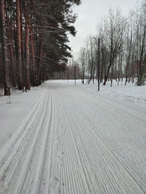 Доброе лыжное утро! 🎿  а вы..