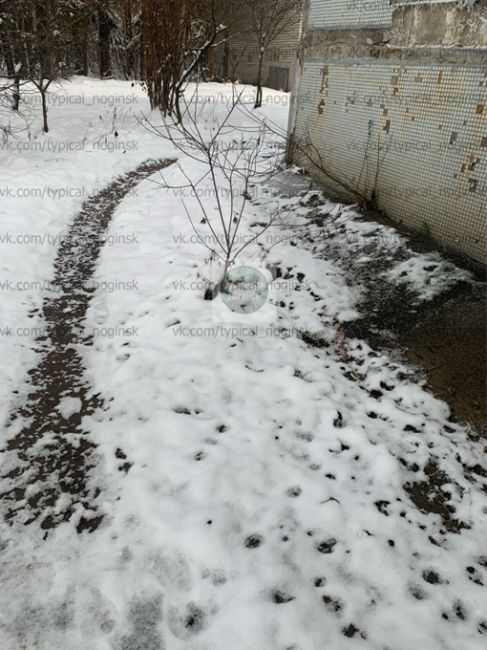 Здравствуйте ! 
Админ, прошу опубликовать. 
Богородский городской округ д. Караваево ул. Боровая д. 12 
Проблема..