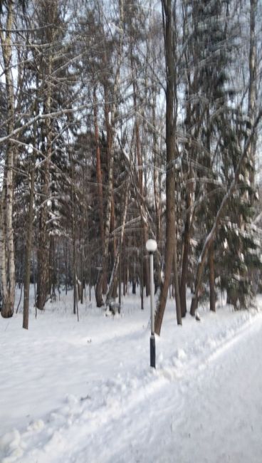 А вот так, просто так, я дарю Вам всём своё зимнее, морозное стихотворение...)) Братцы, если бы вы знали, как..