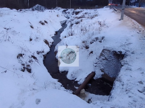 В городе продолжаются странные события. Сначала вместо того, чтобы расчищали русло реки Васса те, кто..