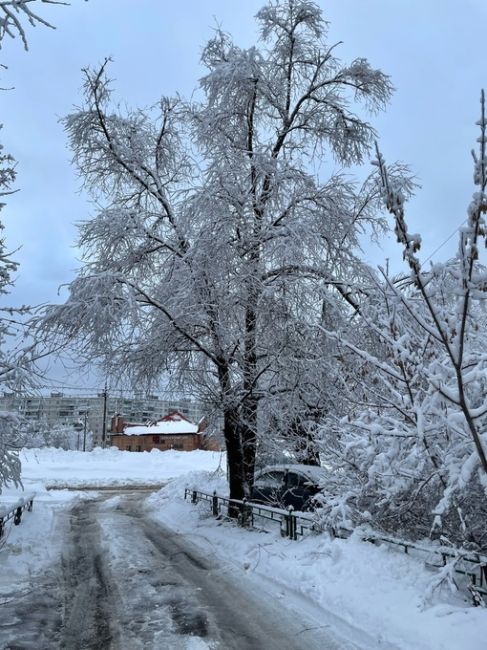 Невероятная красота в городе..