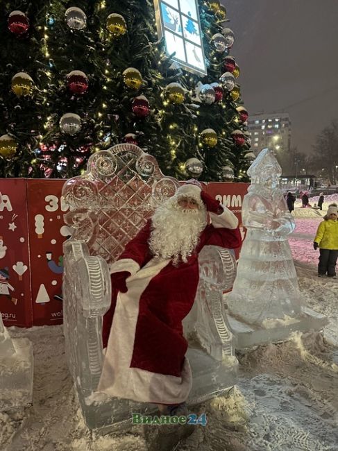 Видновские Новогодние елки..