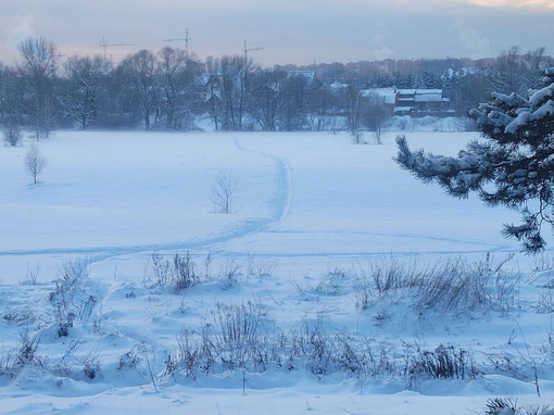 Заповедник Лохин остров.  Фото: Андрей..