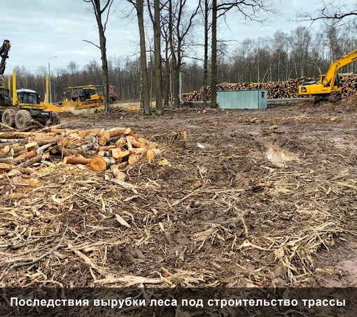 Видновский суд вернул два гектара Бутовского леса в собственность государства  Часть Бутовского леса ранее..
