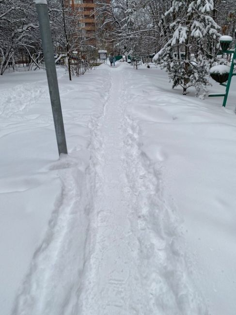 В Новогорске местные жители после вчерашнего снегопада тоже вышли на улицы сами чистить свои дворы..