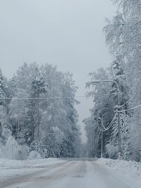 Наконец-то зима вернулась..