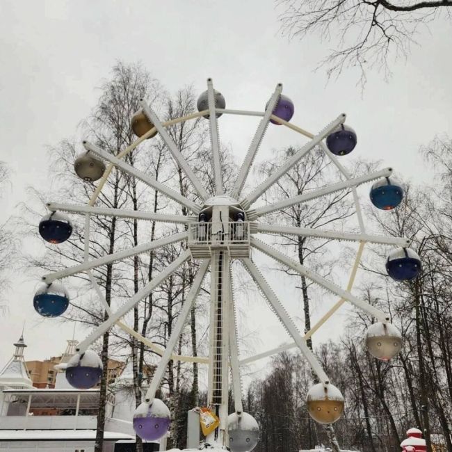 В Центральном городском парке Пушкинского округа закончили установку колеса обозрения  Работы над..