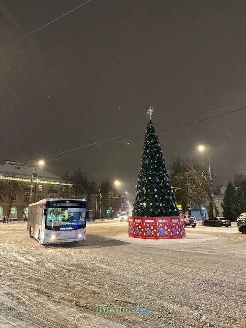 Видновские Новогодние елки..